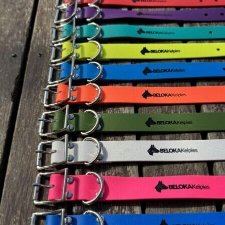 Collars LOGO range I