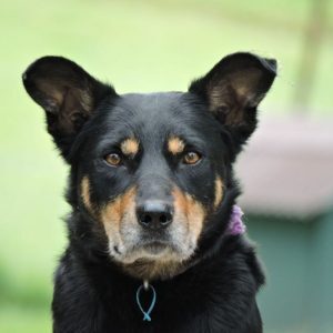 Gloria portrait