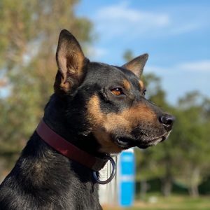 IMG_5908