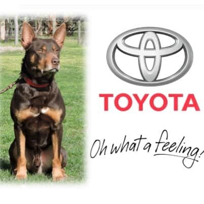 Tom in Toyota advertisement